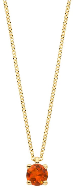 Blush Blush Collier 3200YCI November 14k Geelgoud met Madeira Citrien 42cm