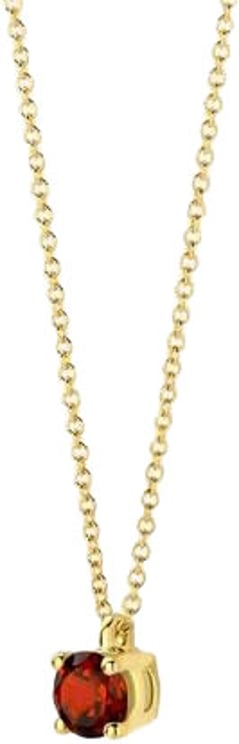 Blush Blush Collier 3200YGA Januari 14K Geelgoud Granaat 42cm