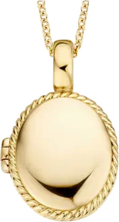 Blush Blush Medailon 6081YGO 14k Geelgoud 11mm x 17mm (excl. Collier)