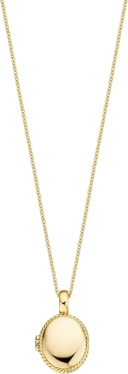 Blush Blush Medailon 6081YGO 14k Geelgoud