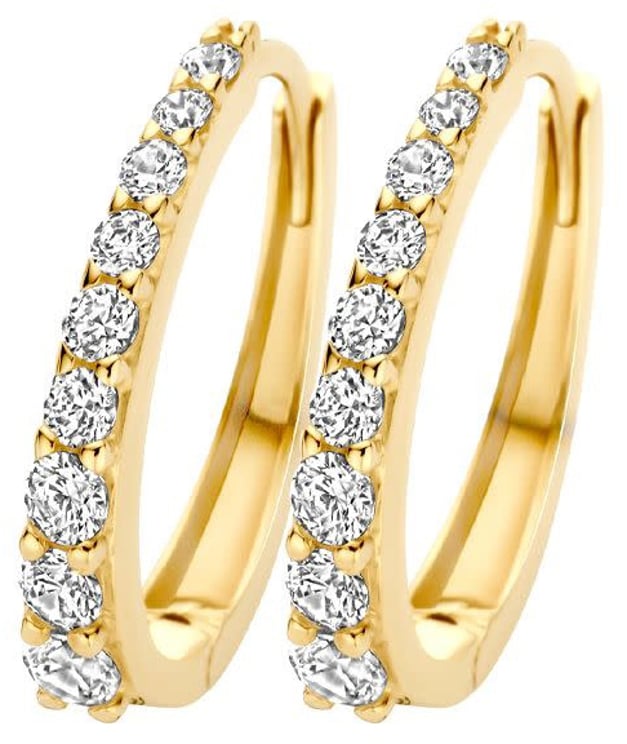 Blush Blush Oorbellen 7342YZI Ovaal 14k Geelgoud met Zirkonia 2.8mm x 16.6mm