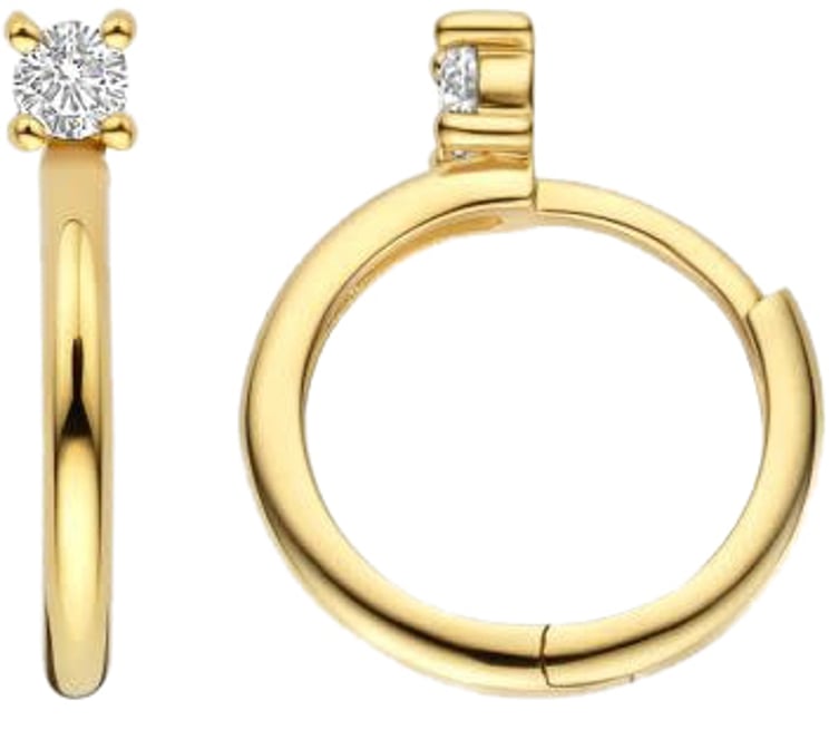 Blush Blush Oorbellen 7372YZI 14k Geelgoud Oorringen met Zirkonia