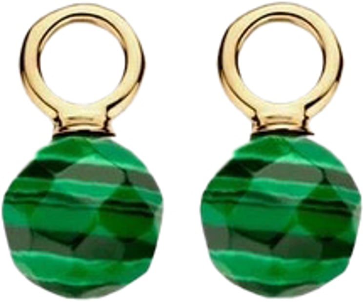 Blush Blush Oorbedels 9046YMA 14k Geelgoud voor Oorringen Mallegiet