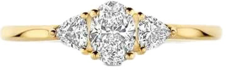 Blush Blush Ring LG1039Y/54 Lab Diamonds 14k Geelgoud 0.35crt 2x 0.10crt Maat 54