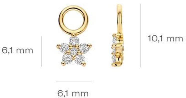 Blush Blush Oorbedels LG9005Y 14k Geelgoud met 0,25crt H SI Briljant geslepen Lab Grown Diamant