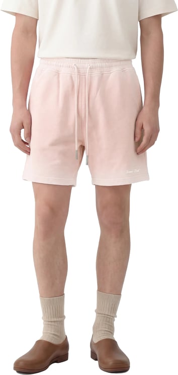 Bram's Fruit Script Logo Shorts - Strawberry Milkshake Pink
