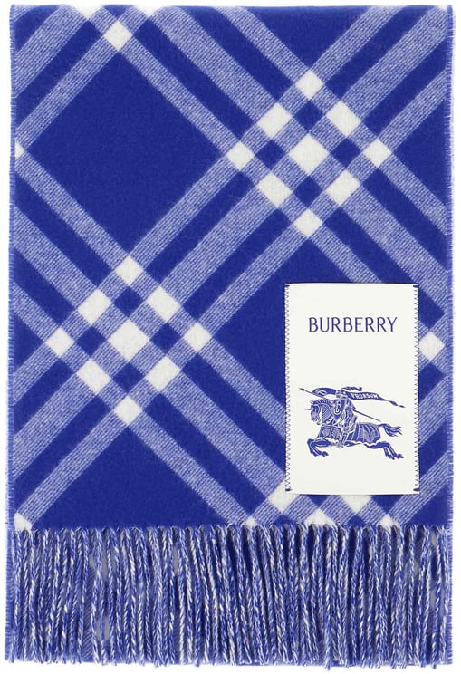 Burberry Burberry Embroidered cashmere scarf