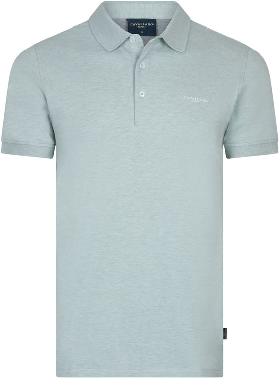 Cavallaro Cavallaro Bavone Polo Polos Mint Groen 116261004