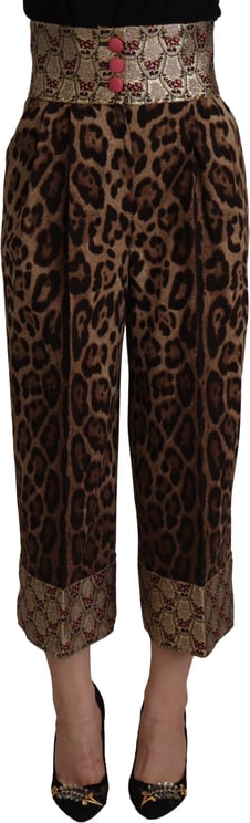 Dolce & Gabbana Dolce & Gabbana Brown Leopard Gold Jacquard High Waist Pants