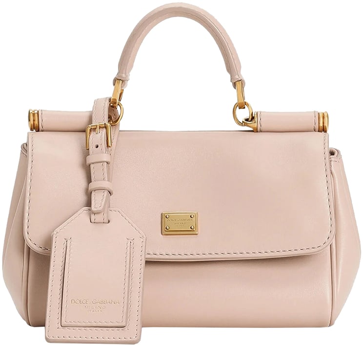 Dolce & Gabbana Neutrals Vit. Plonge Structured Leather Handbag