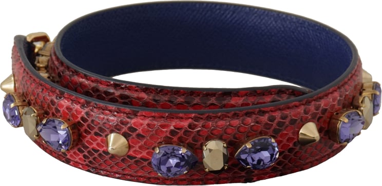 Dolce & Gabbana Dolce & Gabbana Red Exotic Leather Crystals Bag Shoulder Strap