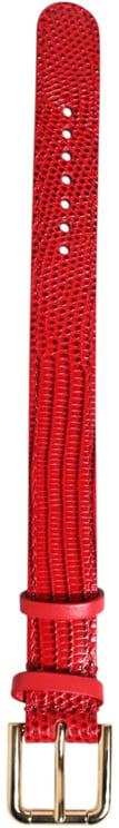 Dolce & Gabbana Dolce & Gabbana Red Exotic Leather Gold Tone Metal Buckle Women Armband