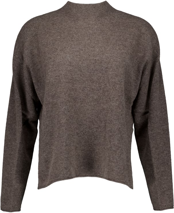 Drykorn Drykorn  Truien Bruin 420215 Timothea_2