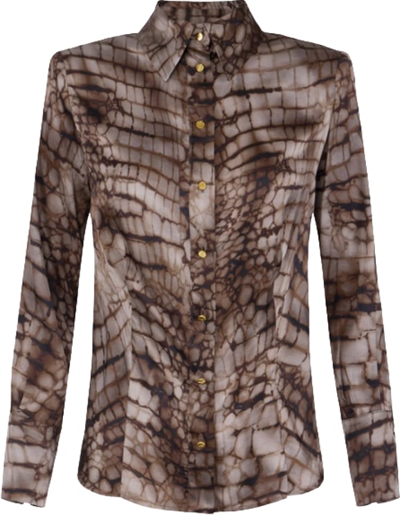Elisabetta Franchi Shirts Brown