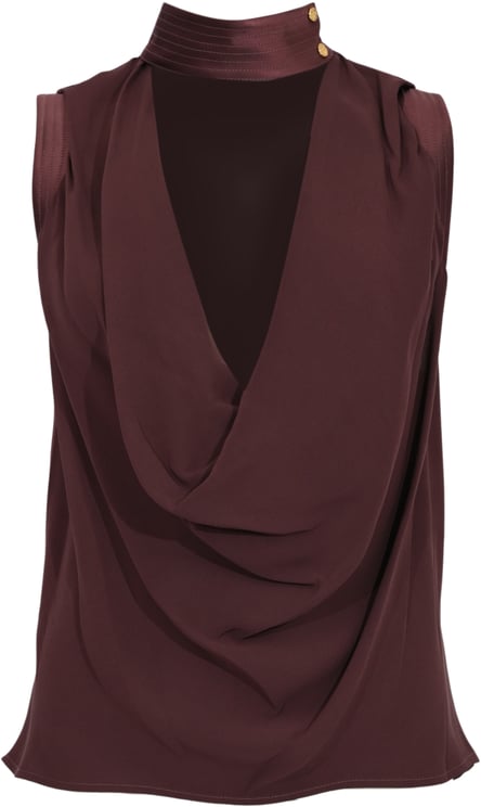 Elisabetta Franchi Shirts Brown