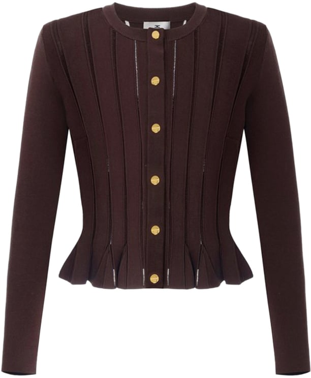 Elisabetta Franchi Sweaters Brown