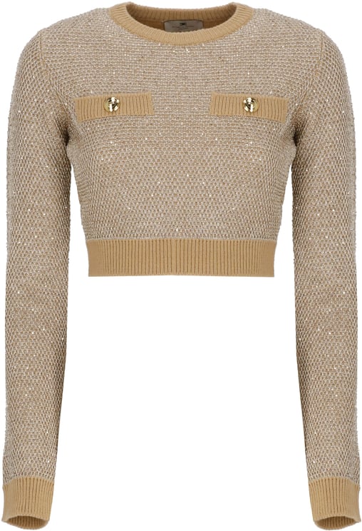 Elisabetta Franchi Sweaters Beige