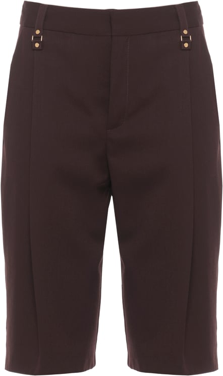 Elisabetta Franchi Shorts Marrone