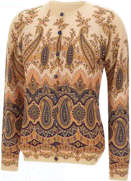 Etro Sweaters Multicolour