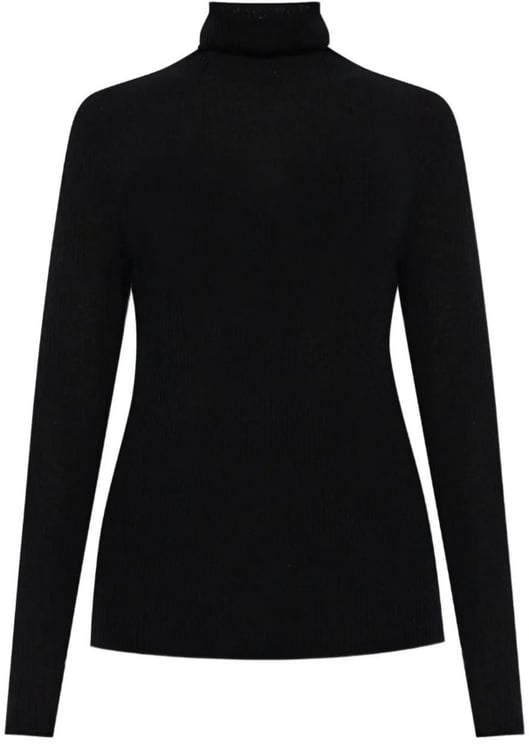 Fabiana Filippi Sweaters Black