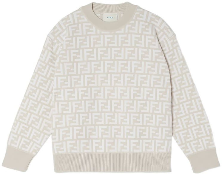 Fendi Sweaters Greygesso
