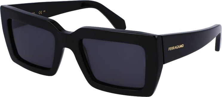 Ferragamo Ferragamo Black Acetate Sunglasses