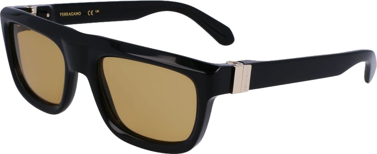 Ferragamo Ferragamo Black Acetate Sunglasses