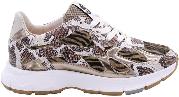 Floris van Bommel Sneaker Brown