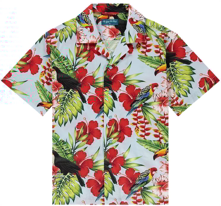 In Gold We Trust The Toecan Shirt