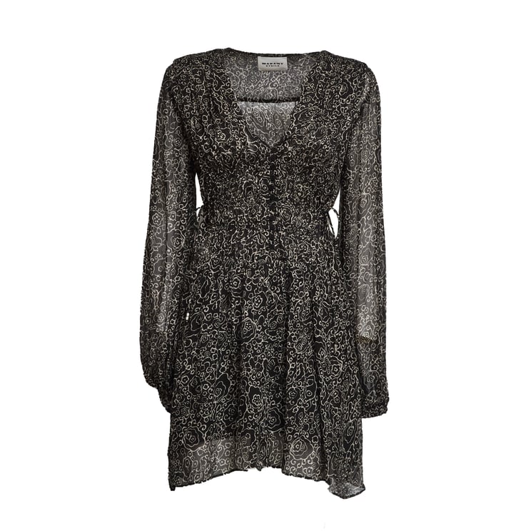 Isabel Marant Loriena Printed Chiffon Day Dress