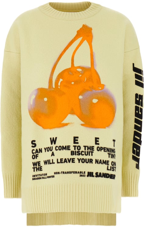 Jil Sander Jil Sander Pastel green wool oversize sweater