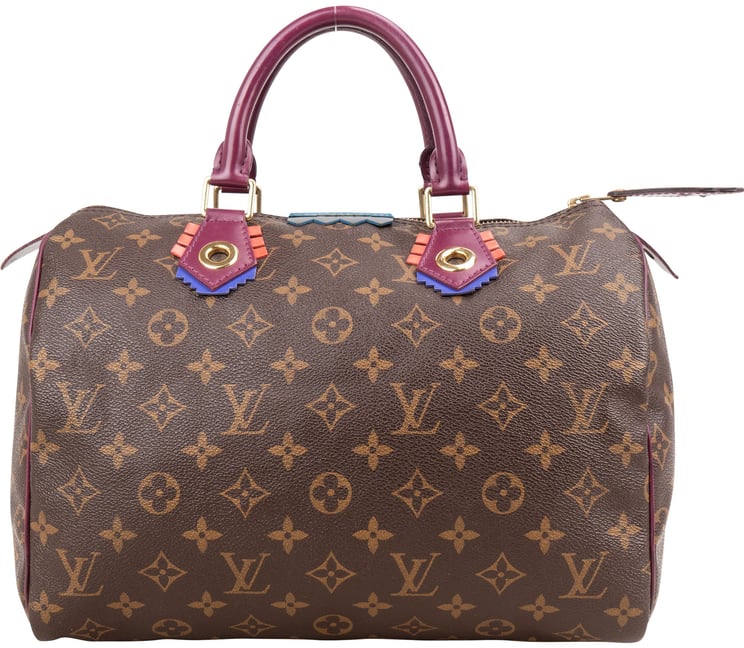 Louis Vuitton Louis Vuitton Monogram Canvas Speedy 30 Totem Handbag