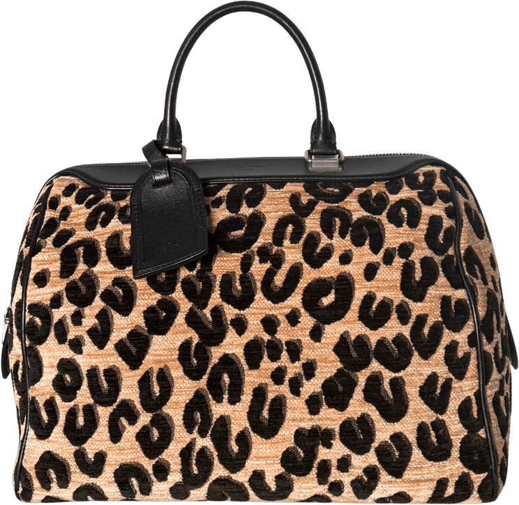 Louis Vuitton Louis Vuitton x Stephen Sprouse Speedy 30 Leopard Limited Edition Braun / sehr gut