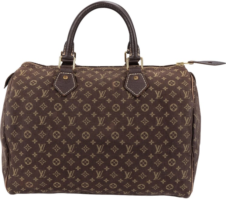 Louis Vuitton Louis Vuitton Monogram Mini Lin Speedy 30 Handbag