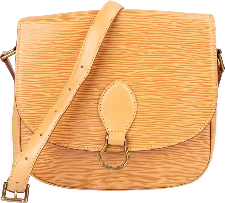 Louis Vuitton Louis Vuitton Epi Leather Saint Cloud GM Shoulder Bag