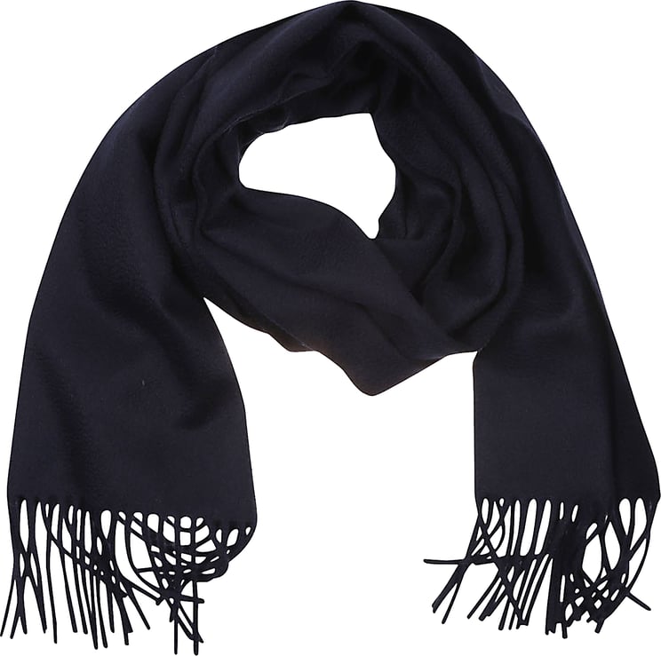 Max Mara Wsdalia Scarf Blue