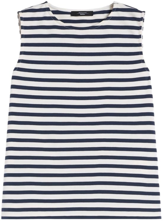 Max Mara Sweaters Blu Rigato