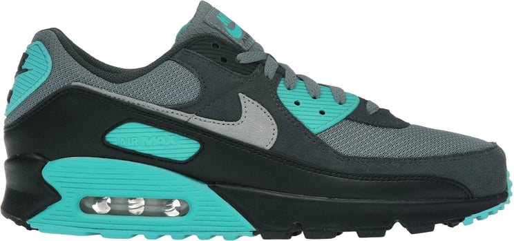 Nike Nike Air Max 90 Cool Grey Dusty Cactus Black Wolf Grey