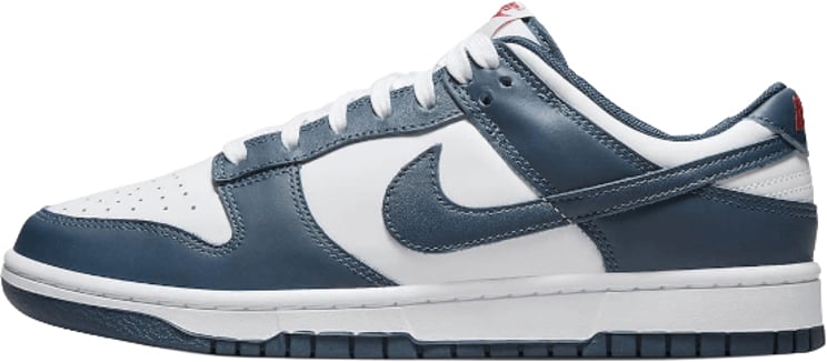 Nike Nike Dunk Low Valerian Blue