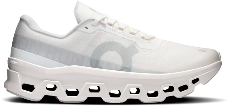 On Running Sneakers White