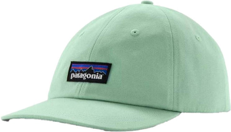 Patagonia P-6 Label Trad Pet