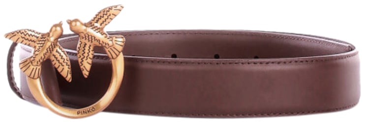 Pinko Belts Brown