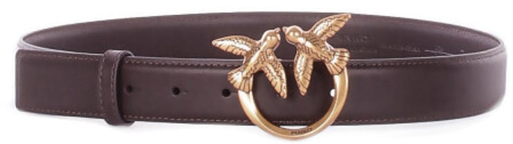 Pinko Belts Brown