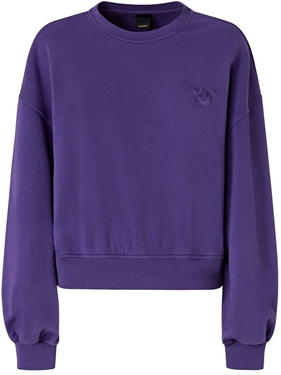 Pinko Sweaters Purple