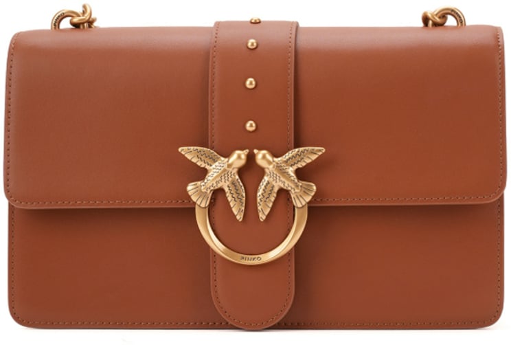 Pinko Bags Brown