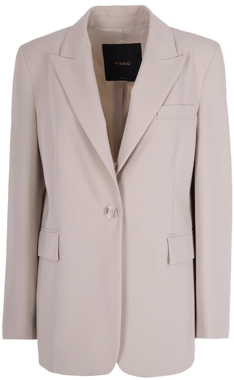 Pinko Jackets Grigio Colomba
