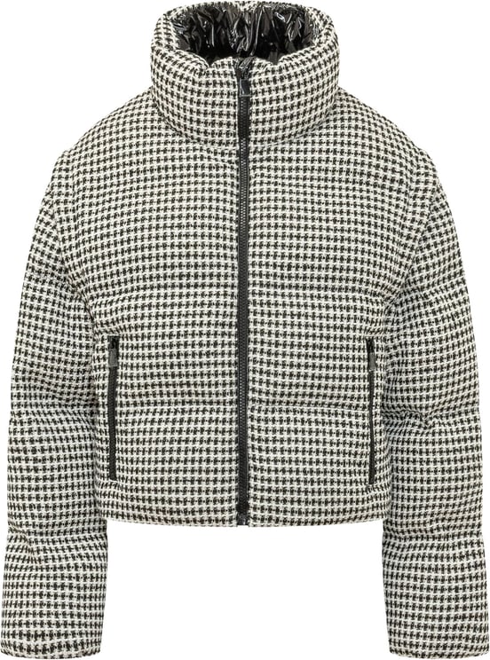 Pinko Piumino Daboecia a Pied de Poule