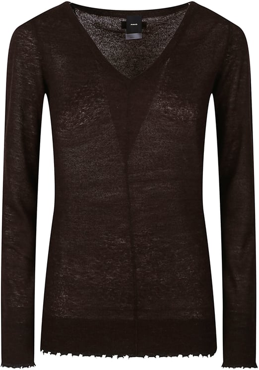 Pinko Oporto V Neck Sweater Brown