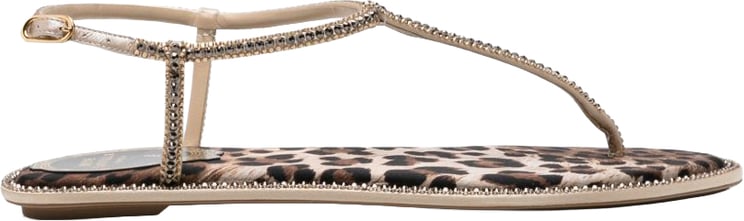 Rene Caovilla Sandals Leopard Print