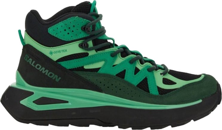 Salomon Odyssey Elmt Mid Gore-Tex